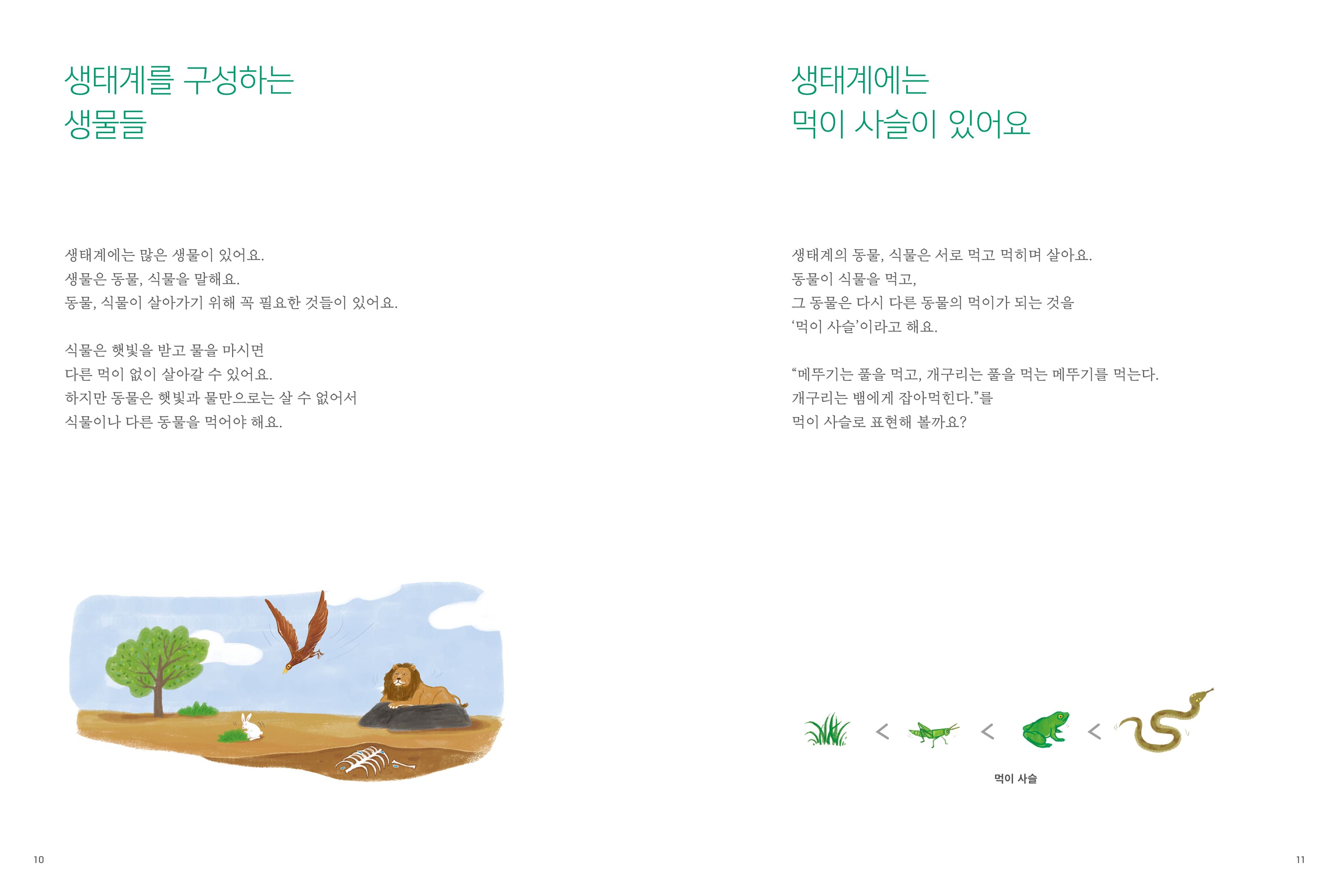 10 생태계를 구성하는 생물들 생태계에는 먹이 사슬이 있어요 생태계에는 많은 생물이 있어요. 생물은 동물, 식물을 말해요. 동물, 식물이 살아가기 위해 꼭 필요한 것들이 있어요. 식물은 햇빛을 받고 물을 마시면 다른 먹이 없이 살아갈 수 있어요. 하지만 동물은 햇빛과 물만으로는 살 수 없어서 식물이나 다른 동물을 먹어야 해요. 생태계의 동물, 식물은 서로 먹고 먹히며 살아요. 동물이 식물을 먹고, 그 동물은 다시 다른 동물의 먹이가 되는 것을 '먹이 사슬'이라고 해요. “메뚜기는 풀을 먹고, 개구리는 풀을 먹는 메뚜기를 먹는다. 개구리는 뱀에게 잡아먹힌다.