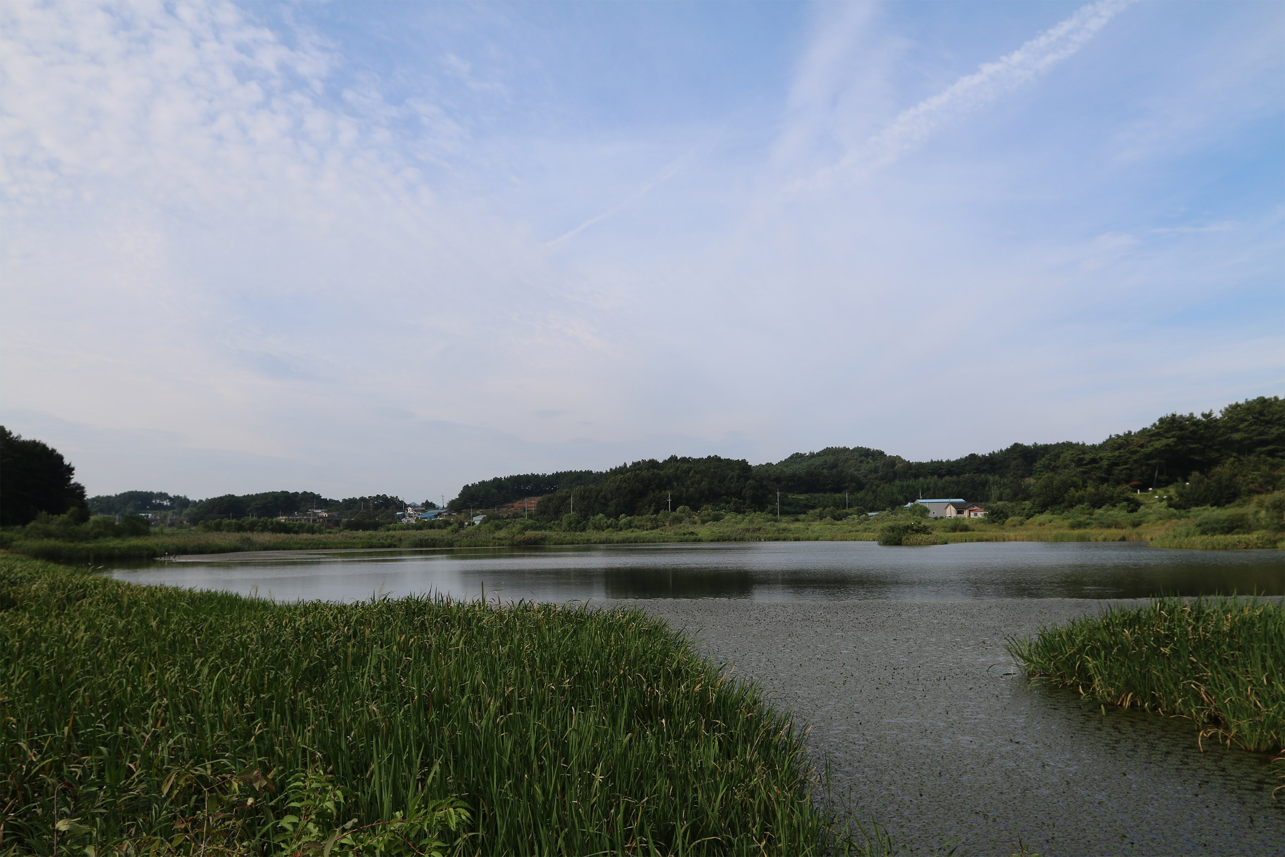 국립생태원의 용화실못_1