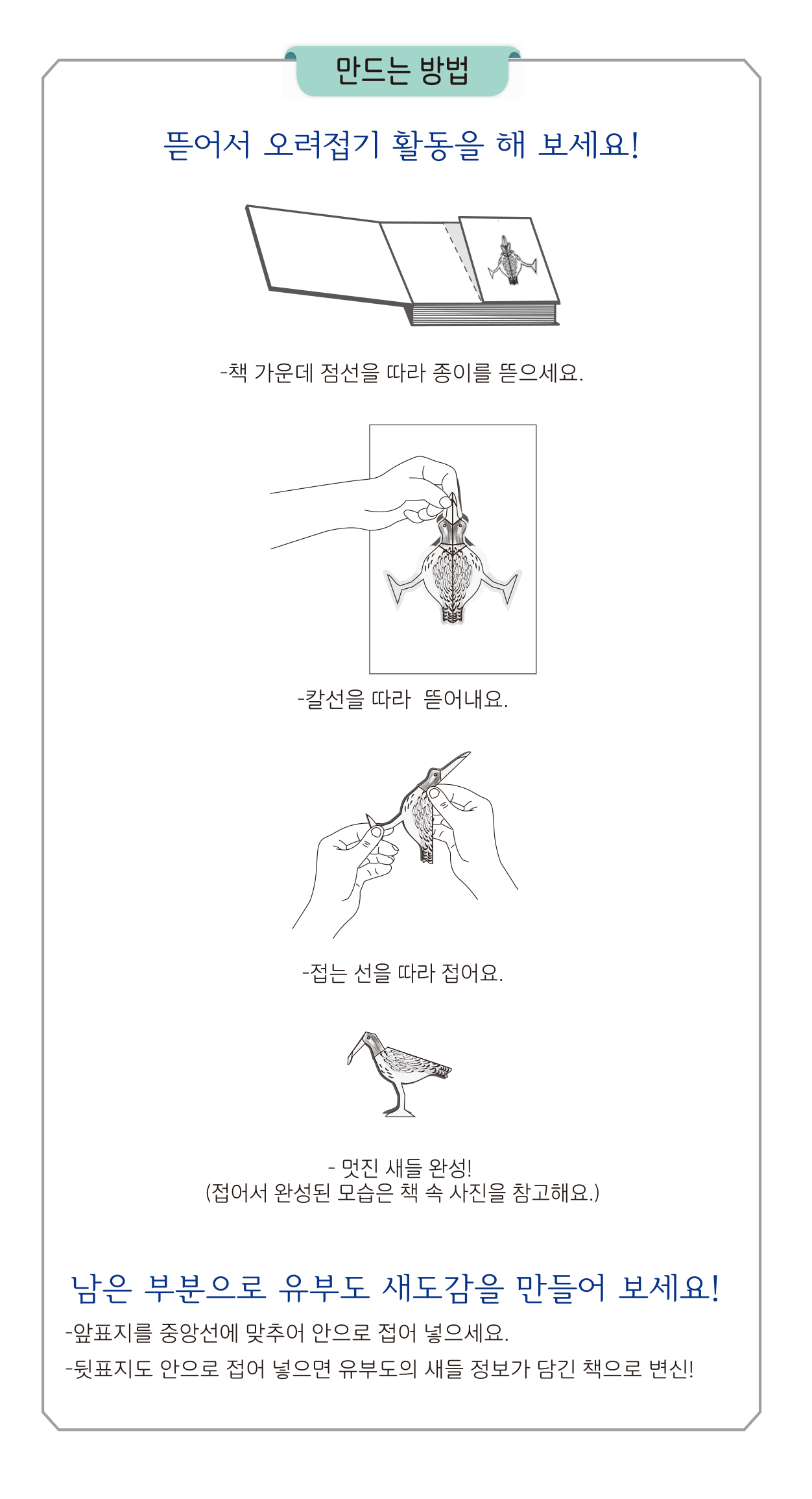 만드는 방법 뜯어서 오려접기 활동을 해 보세요!  책 가운데 점선을 따라 종이를 뜯으세요. 칼선을 따라 뜯어내요. 접는 선을 따라 접어요. 멋진 새들 완성! 접어서 완성된 모습은 책 속 사진을 참고해요. 남은 부분으로 유부도 새도감을 만들어 보세요! 앞표지를 중앙선에 맞추어 안으로 접어 넣으세요. 뒷표지도 안으로 접어 넣으면 유부도의 새들 정보가 담긴 책으로 변신!