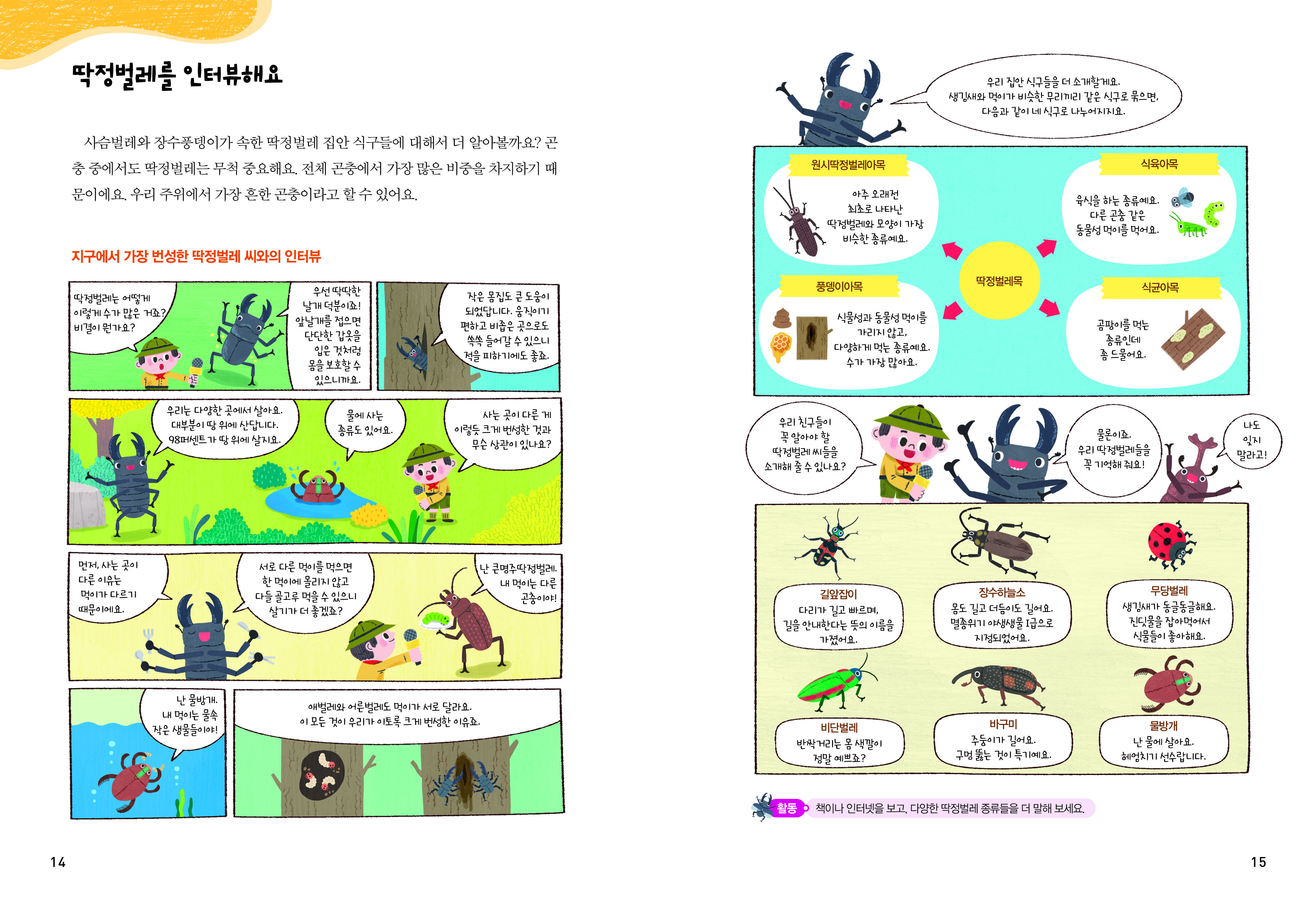 딱정벌레를 인터뷰해요 사슴벌레와 장수풍뎅이가 속한 딱정벌레 집안 식구들에 대해서 더 알아볼까요? 곤충 중에서도 딱정벌레는 무척 중요해요. 전체 곤충에서 가장 많은 비중을 차지하기 때문이에요. 우리 주위에서 가장 흔한 곤충이라고 할 수 있어요. 지구에서 가장 번성한 딱정벌레 씨와의 인터뷰 딱정버레는 어떻게 이렇게 수가 많은 거죠? 비결이 뭔가요? 우선 딱딱한 날개 덕분이죠! 앞날개를 접으면 단단한 갑옷을 입은 것처럼 몸을 보호할 수 있으니까요. 작은 몸집도 큰 도움이 되었답니다. 움직이기 편하고 비좁은 곳으로도 쏙쏙 들어갈 수 있으니 적을 피하기에도 좋죠. 우리는 다양한 곳에서 살아요. 대부분이 땅 위에 산답니다. 98 퍼세트가 땅 위에서 살지요. 물에 사는 종류도 있어요. 사는 곳이 다른 게 이렇듯 크게 번성한 것과 무슨 상관이 있나요? 먼저, 사는 곳이 다른 이유는 먹이가 다르기 때문이에요. 서로 다른 먹이를 먹으면 한 먹이에 몰리지 않고 다들 골고루 먹을 수 있으니 살기가 더 좋겠죠? 난 큰명주딱정벌레. 내 먹이는 다른 곤충이야! 난 물방개. 내 먹이는 물속 작은 생물들이야. 애벌레와 어른벌레도 먹이가 서로 달라요. 이 모든 것이 우리가 이토록 크게 번성한 이유죠.