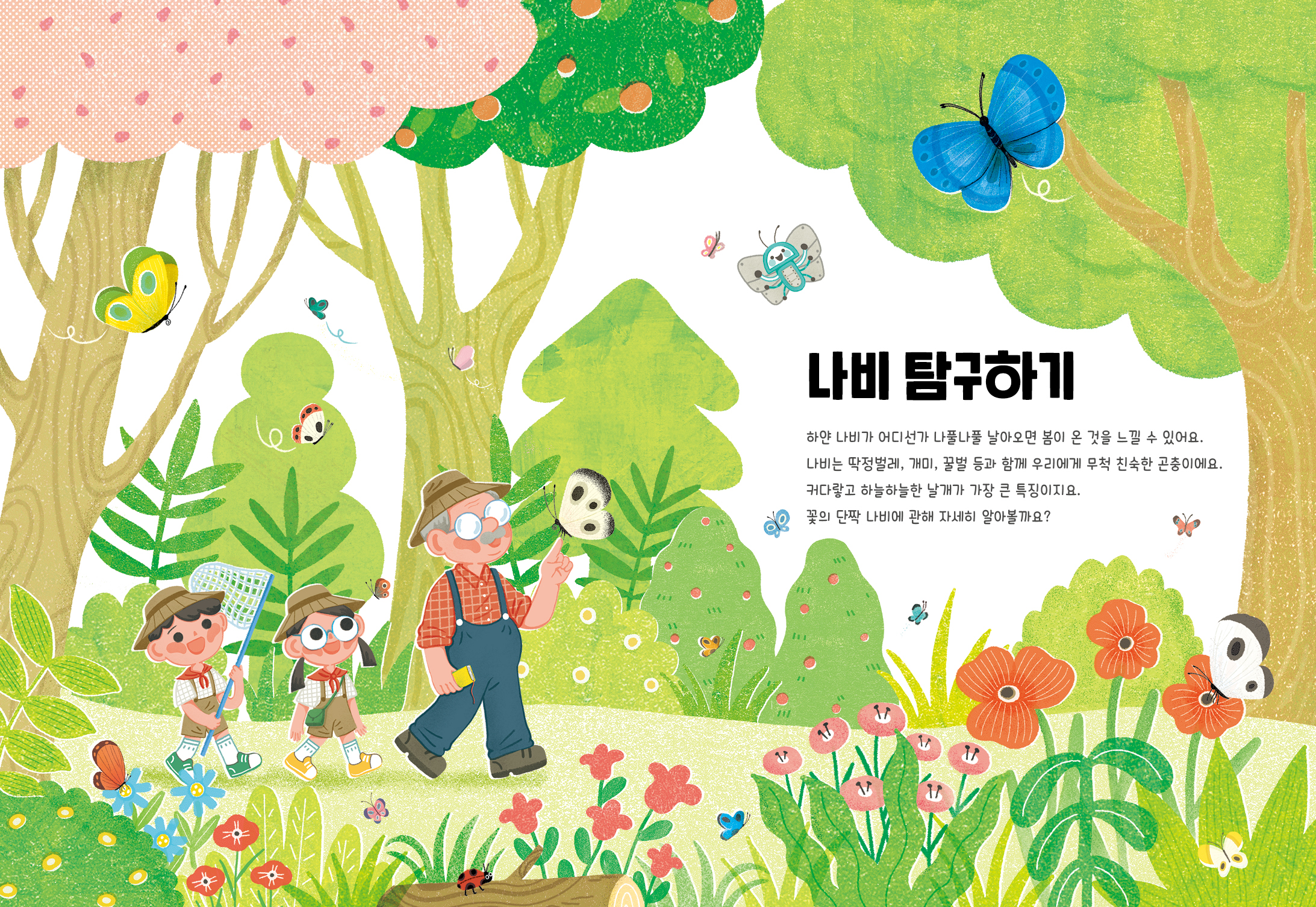 나비 탐구하기 하얀 나비가 어디선가 나풀나풀 날아오면 봄이 온 것을 느낄 수 있어요. 나비는 딱정벌레, 개기, 꿀벌 등과 함께 우리에게 무척 친숙한 곤충이에요. 커다랗고 하늘하늘한 날개가 가장 큰 특징이지요. 이 꽃의 단짝 나비에 관해 자세히 알아볼까요? IOR 10