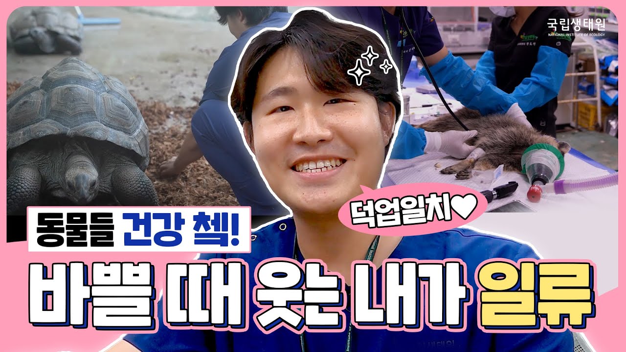 생태원에 헤르미온느가 산다? 동물들의 '낭만닥터'의 비지(BUSY)한 하루