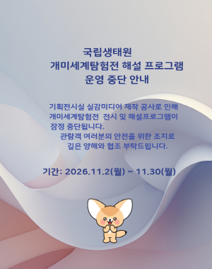 개미세계탐험전 운영 중단