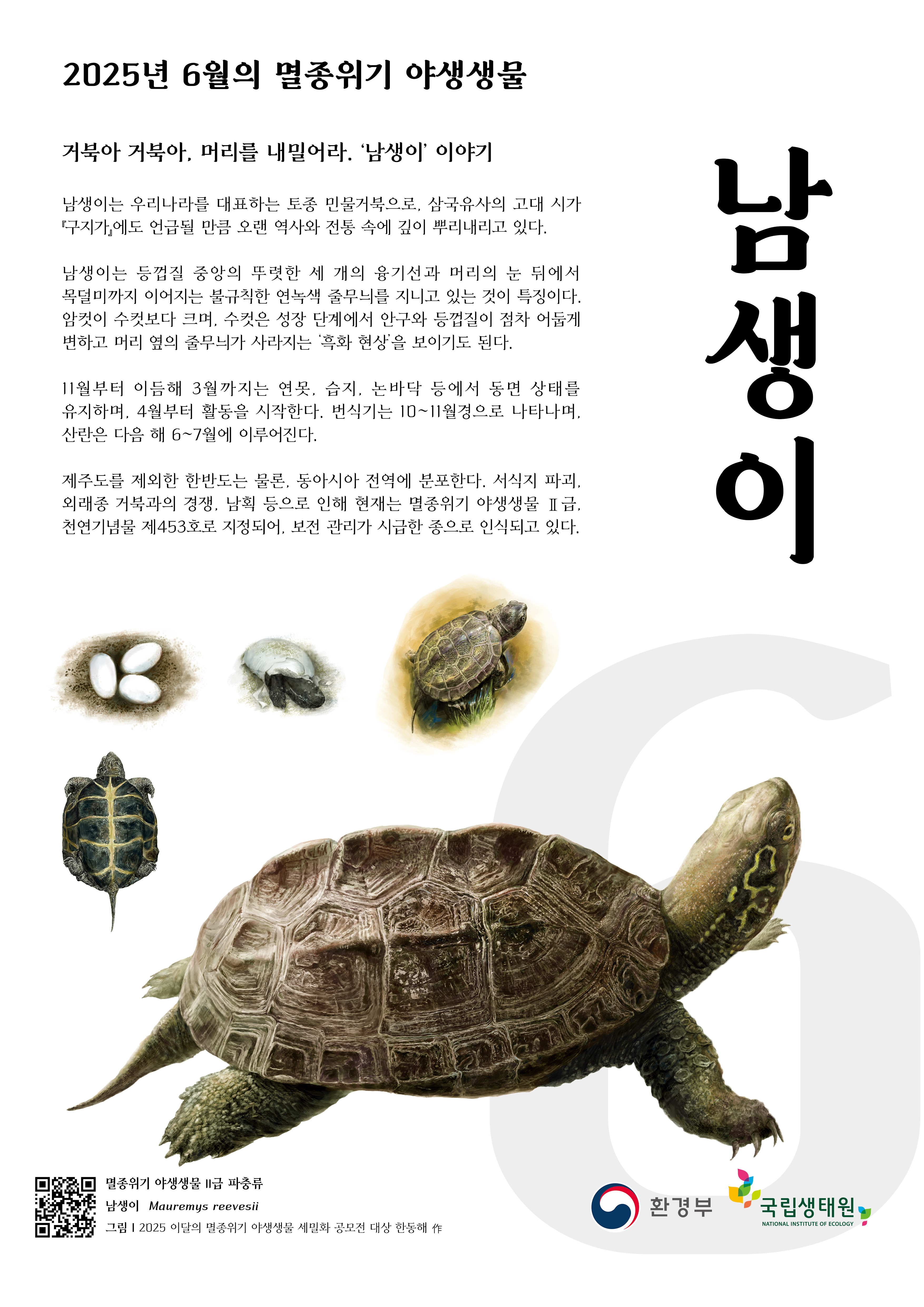 이달의_멸종위기_야생생물_남생이.jpg