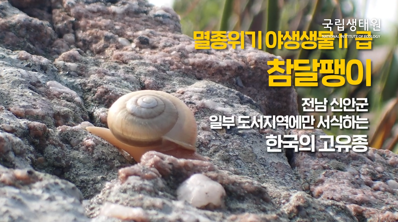 멸종위기 야생생물 Ⅱ급 참달팽이 보전을 위해 국립생태원이 나섰다!