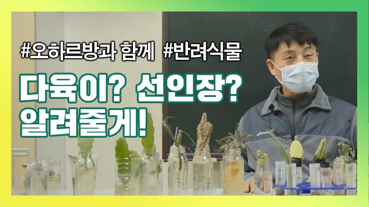 [국립생태원] 오~하르방과 함께하는 반려식물_다육이&선인장