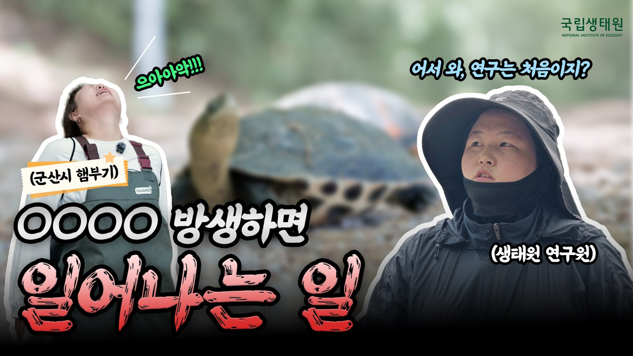  [국립생태원] 군산시 햄부기 출동! 호수공원에 나타난 무시무시한 녀석의 정체는?!