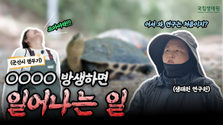  [국립생태원] 군산시 햄부기 출동! 호수공원에 나타난 무시무시한 녀석의 정체는?!