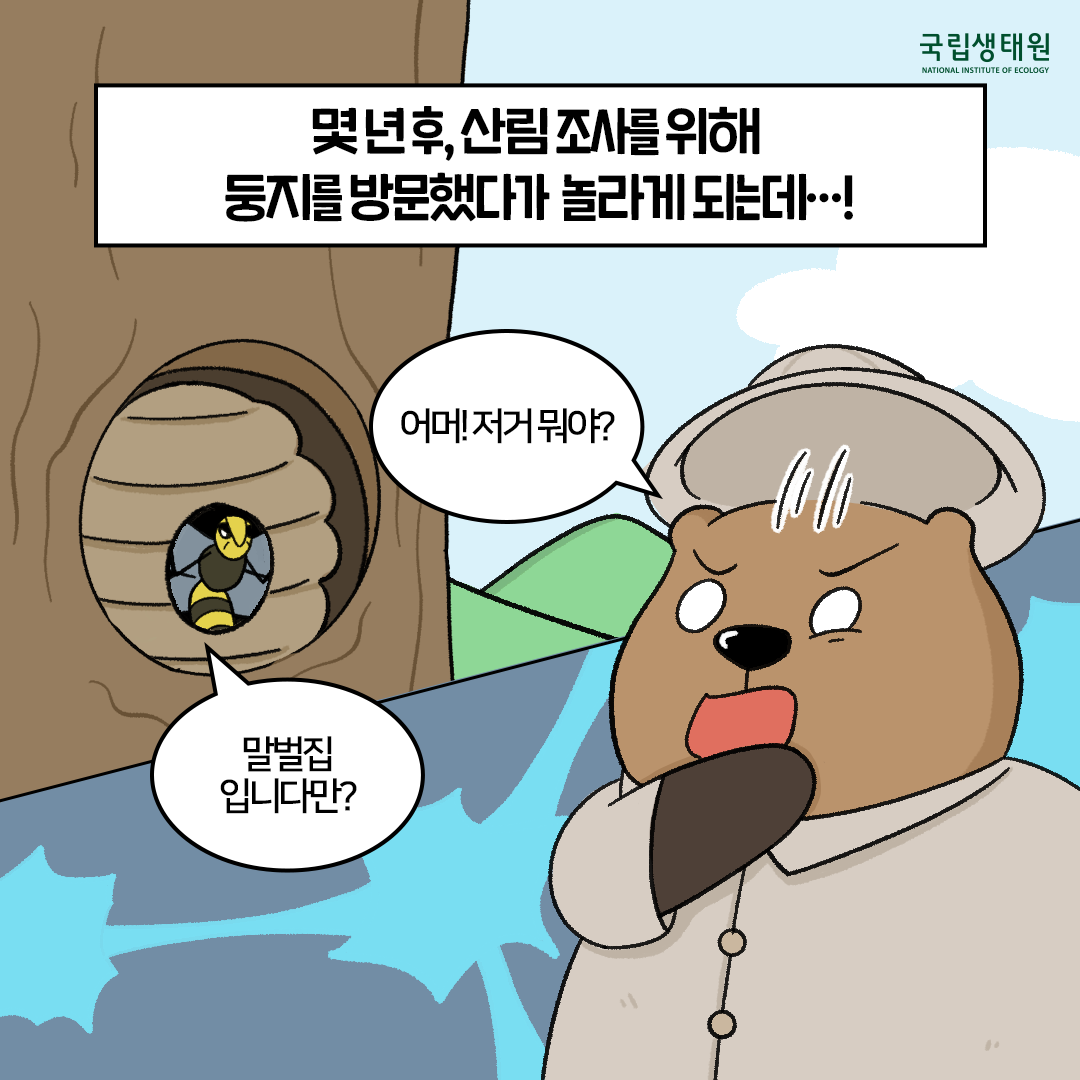 [생태원 사람들] 올빼미 둥지를 구해줘! 생태원즈_4