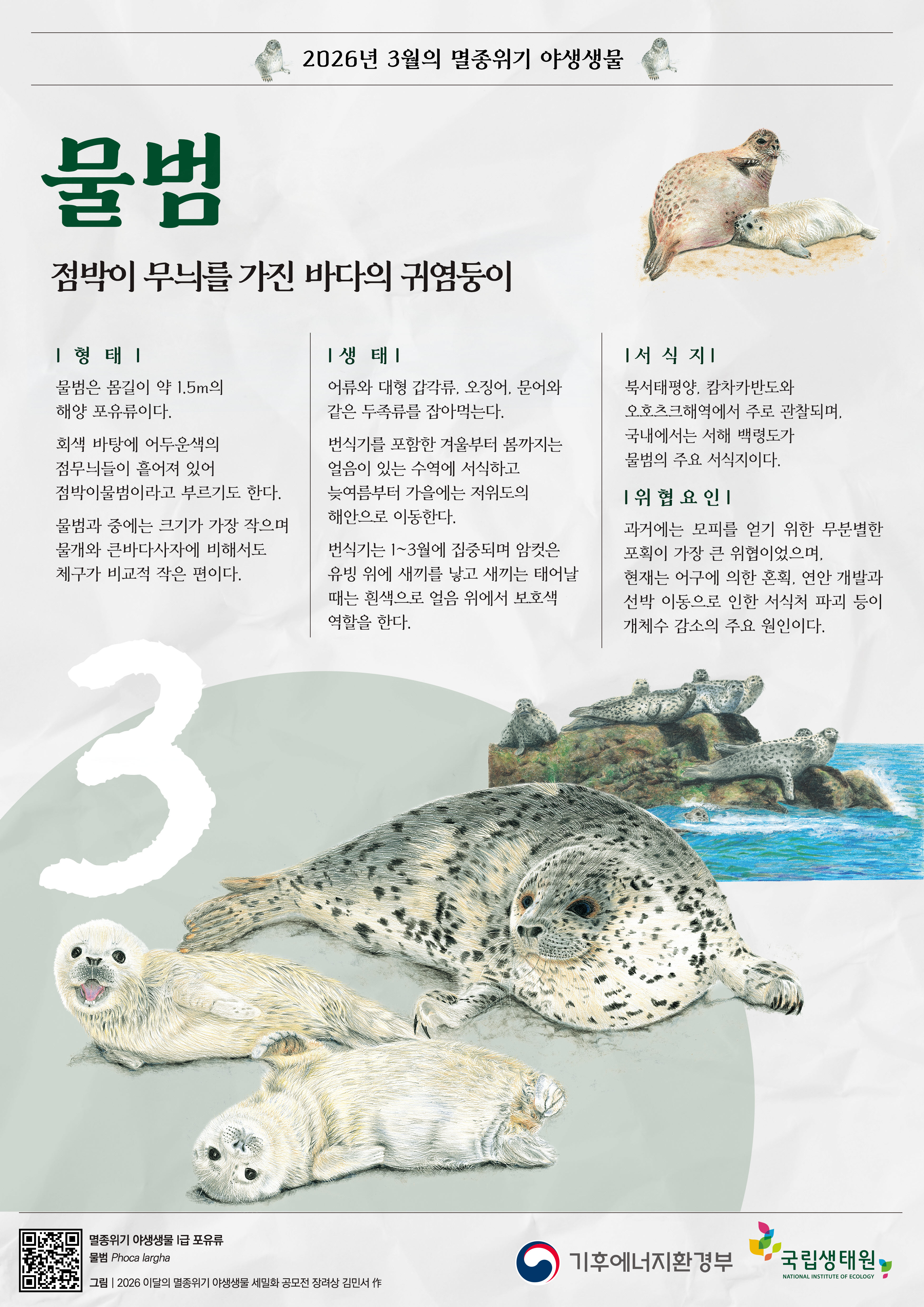 3월 물범.jpg