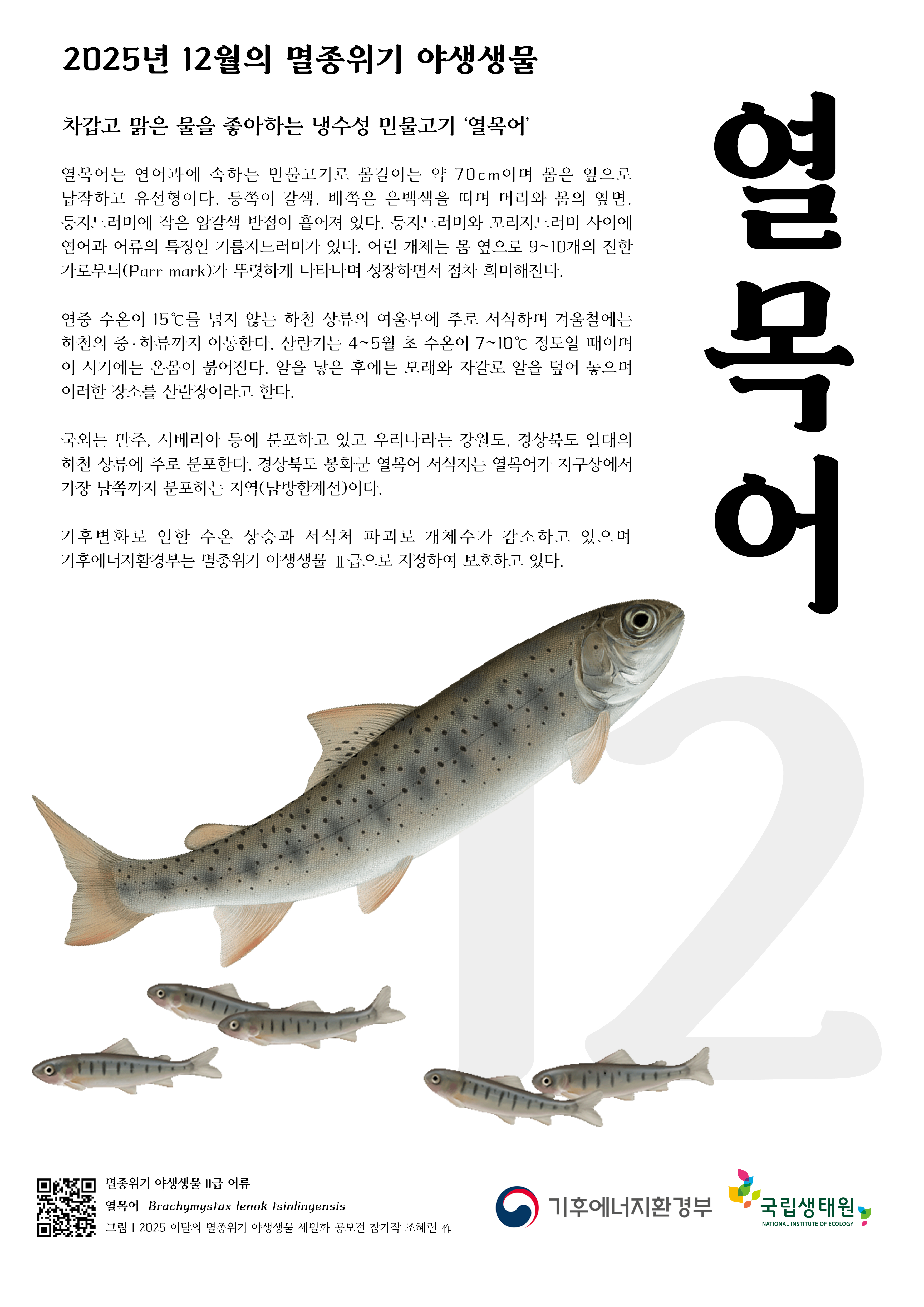 열목어 12월 포스터 최종.jpg