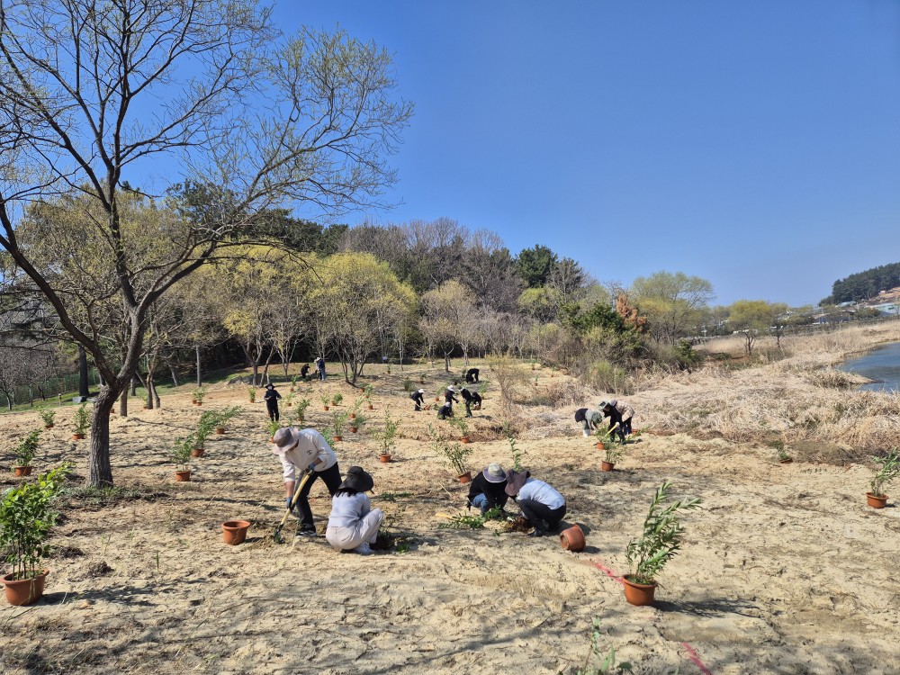 국립생태원 버드나무 심기 행사 개최_2