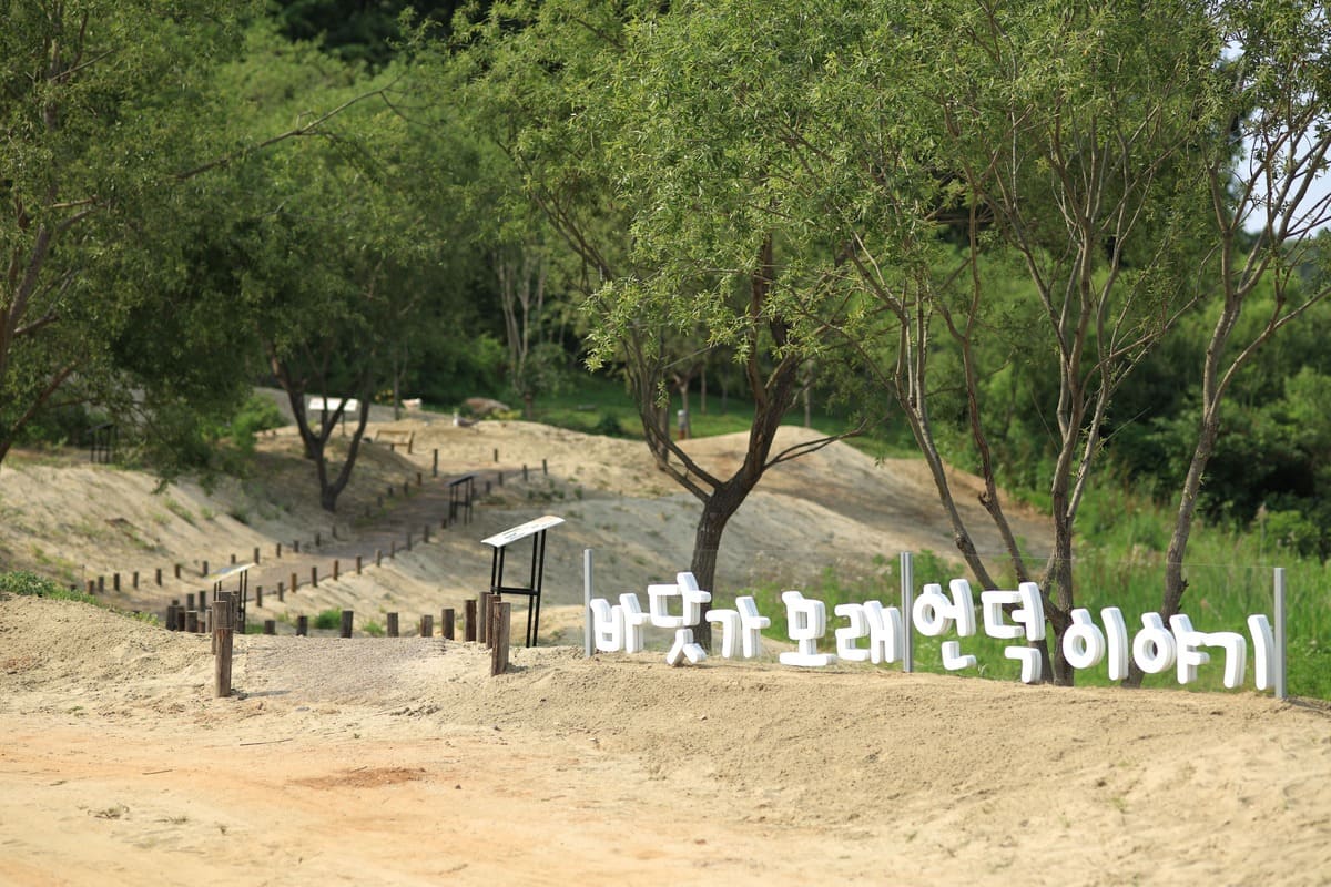 바닷가 모래언덕 이야기 - 2021년 기후변화 특별전