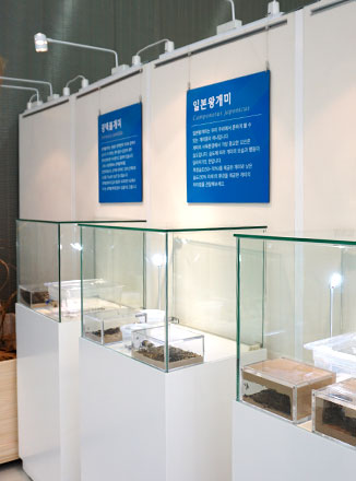 개미특별전 비긴즈_5