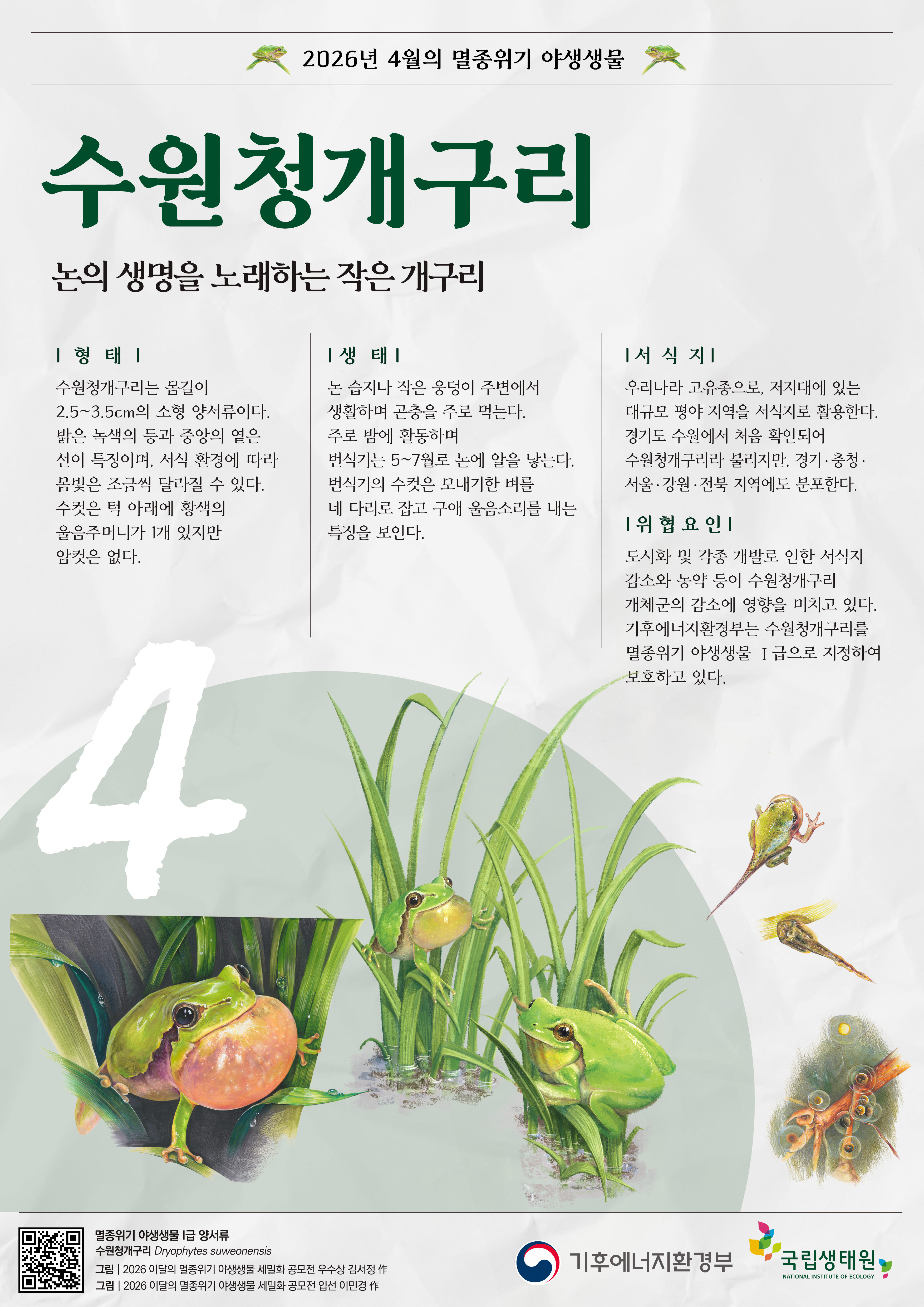 4월 수원청개구리 포스터(2026.3.25.).jpg