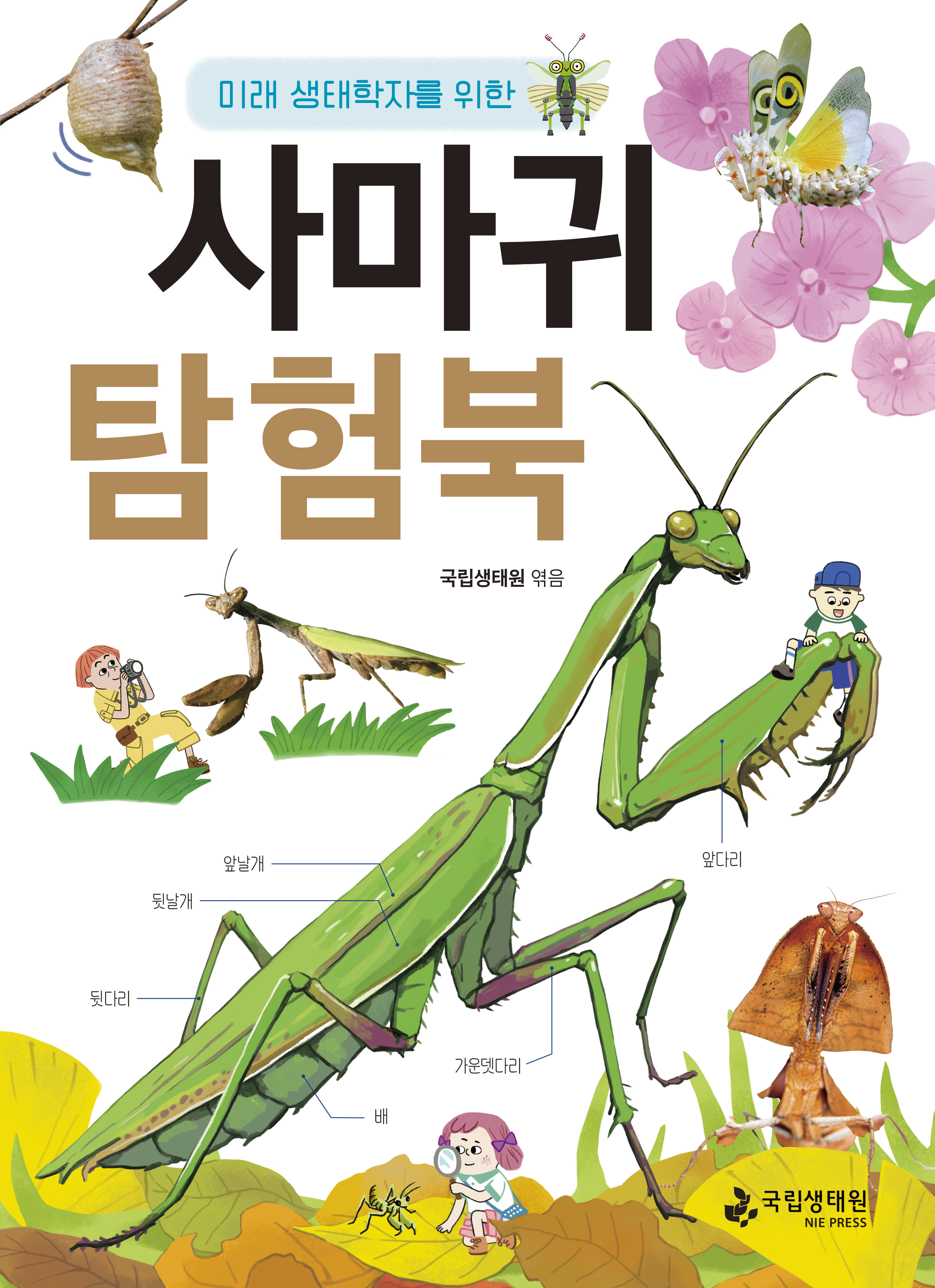 사마귀 탐험북 앞표지.jpg
