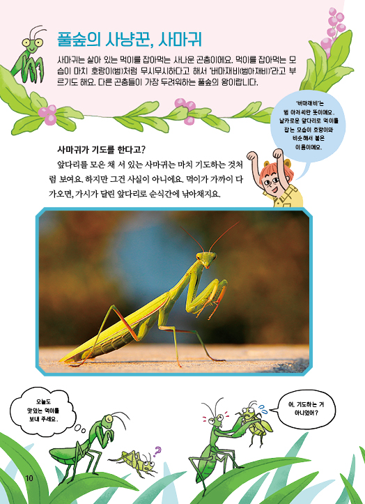 본문최종(사마귀)10.jpg