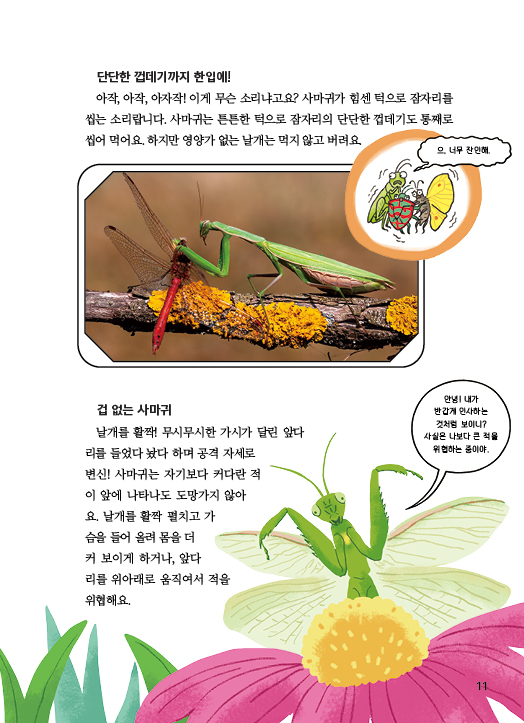 본문최종(사마귀)11.jpg