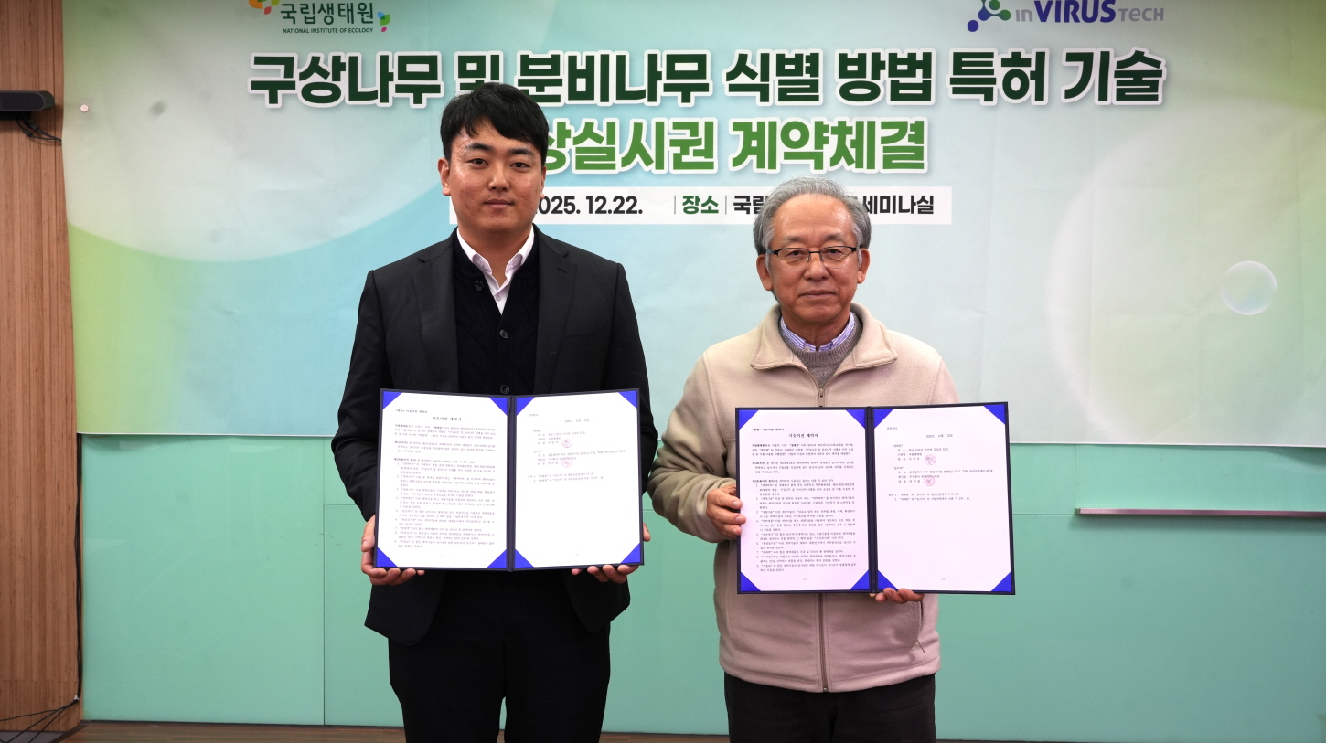 구상나무-분비나무 종 판별 DNA기술 민간기업 이전_2