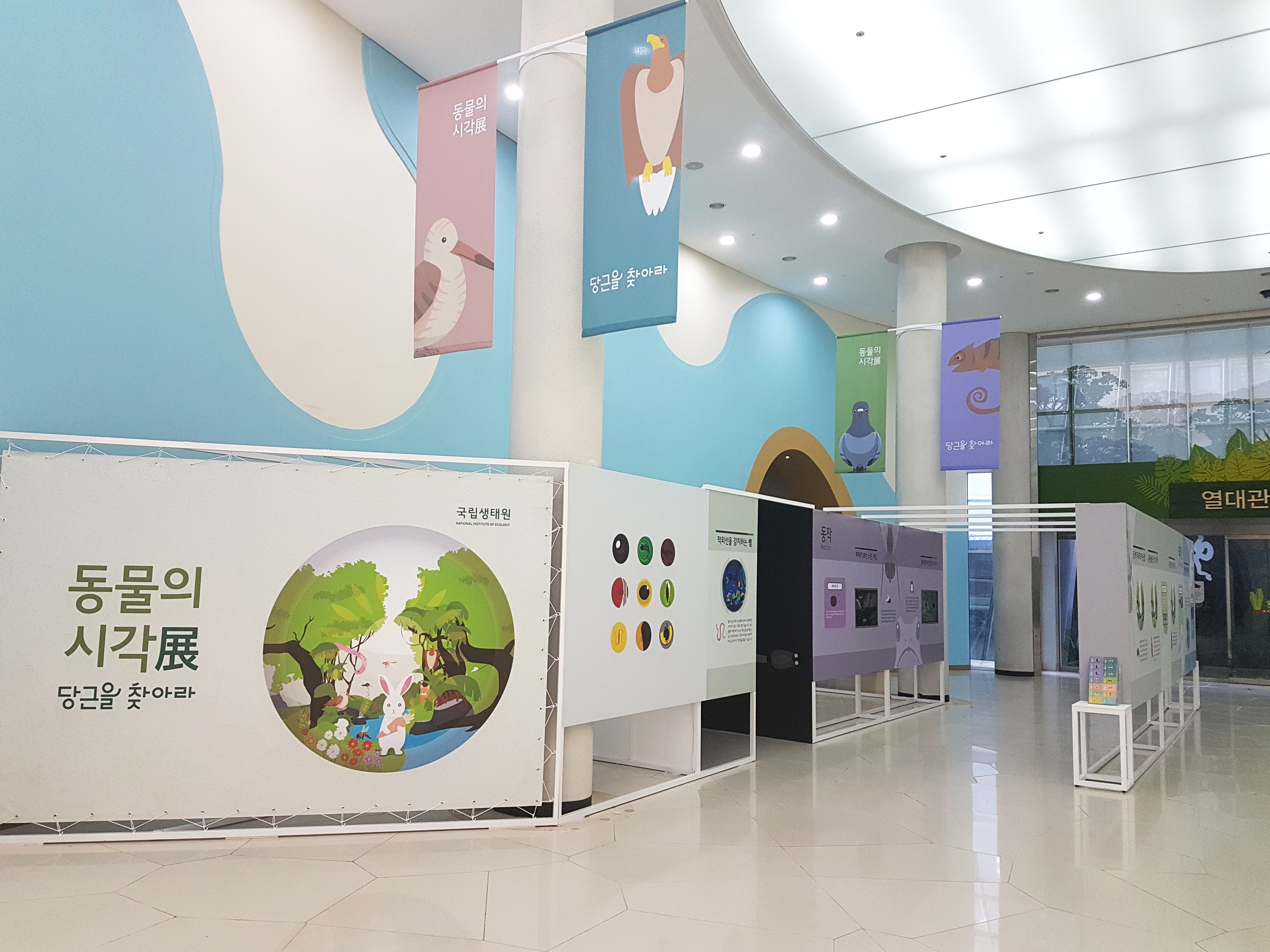 팝업전 <동물의 시각 당근을 찾아라>_2