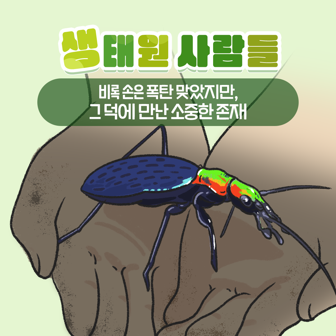[생태원 사람들] 멋조롱딱정벌레와의 아찔한 만남