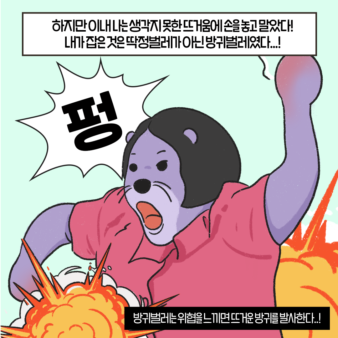 [생태원 사람들] 멋조롱딱정벌레와의 아찔한 만남_5