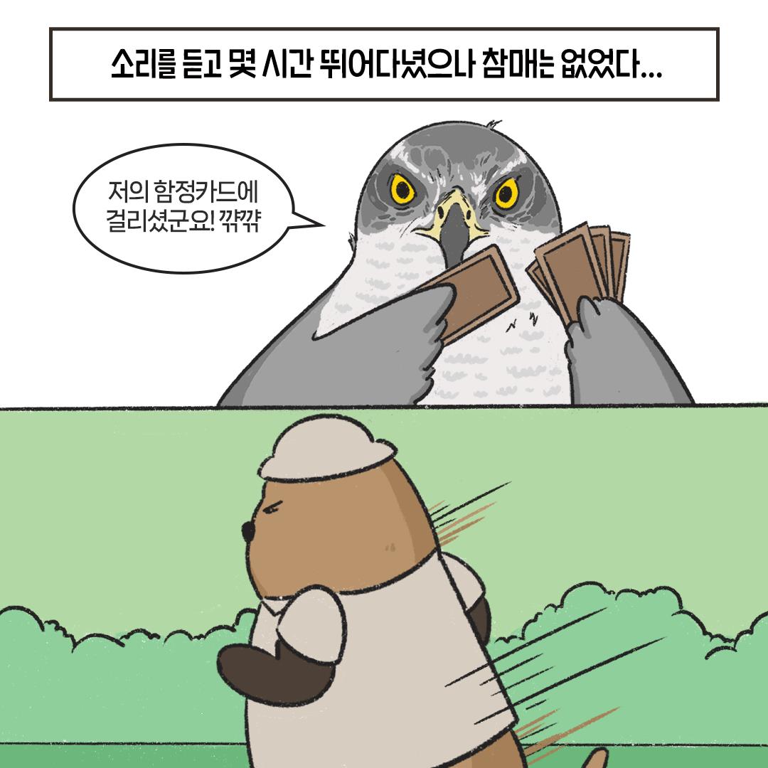 [생태원 사람들] 나는 네가 지난 여름 산에서 한 일을 알고 있다_3