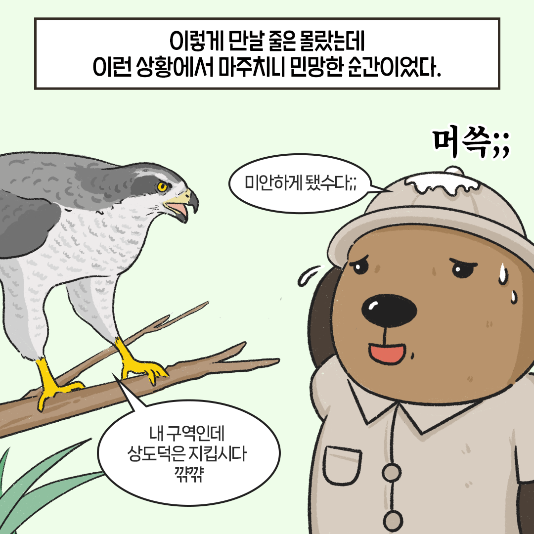 [생태원 사람들] 나는 네가 지난 여름 산에서 한 일을 알고 있다_9