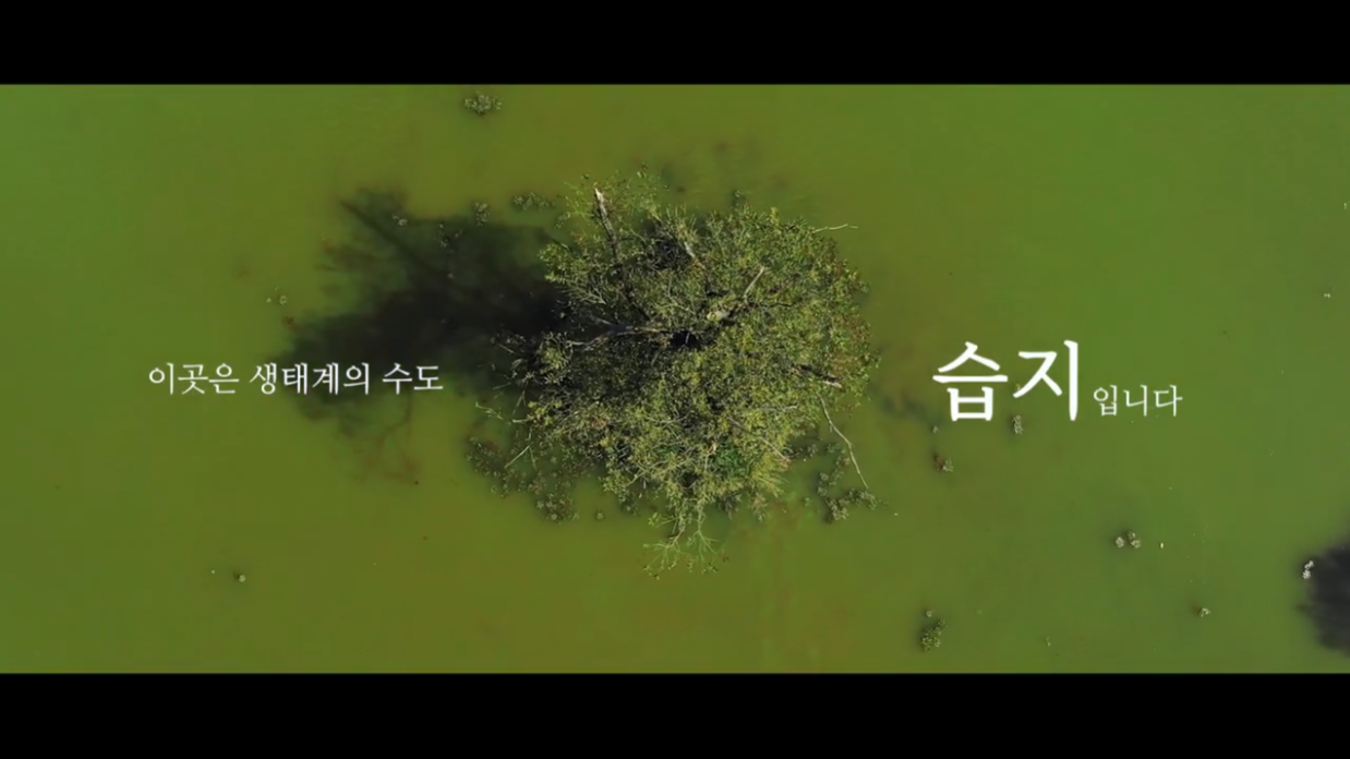 [국립생태원] 오늘은 '세계 습지의 날' 입니다 |2월 2일| 생태계의 수도 '습지'! 습지를 지켜주세요
