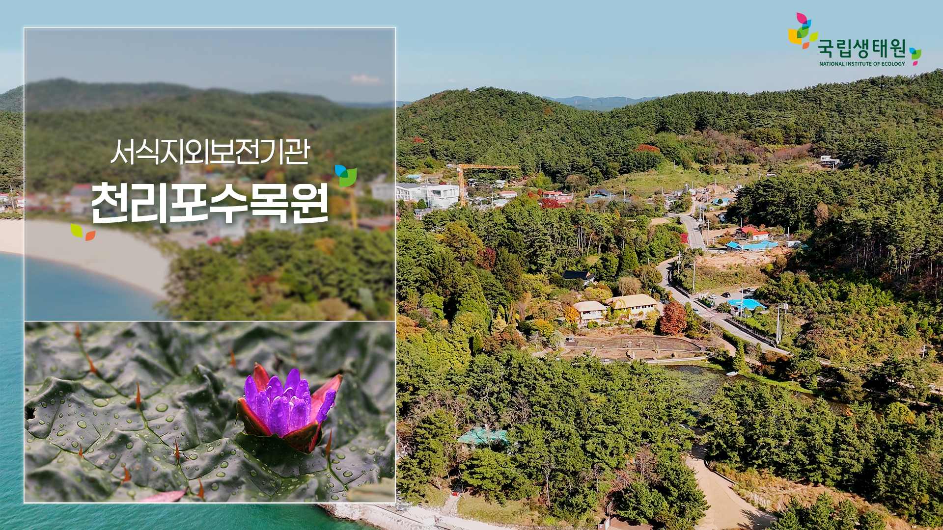 [국립생태원] 우리나라 최초 민간수목원 '천리포수목원'을 아시나요?