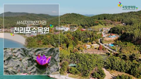 [국립생태원] 우리나라 최초 민간수목원 '천리포수목원'을 아시나요?