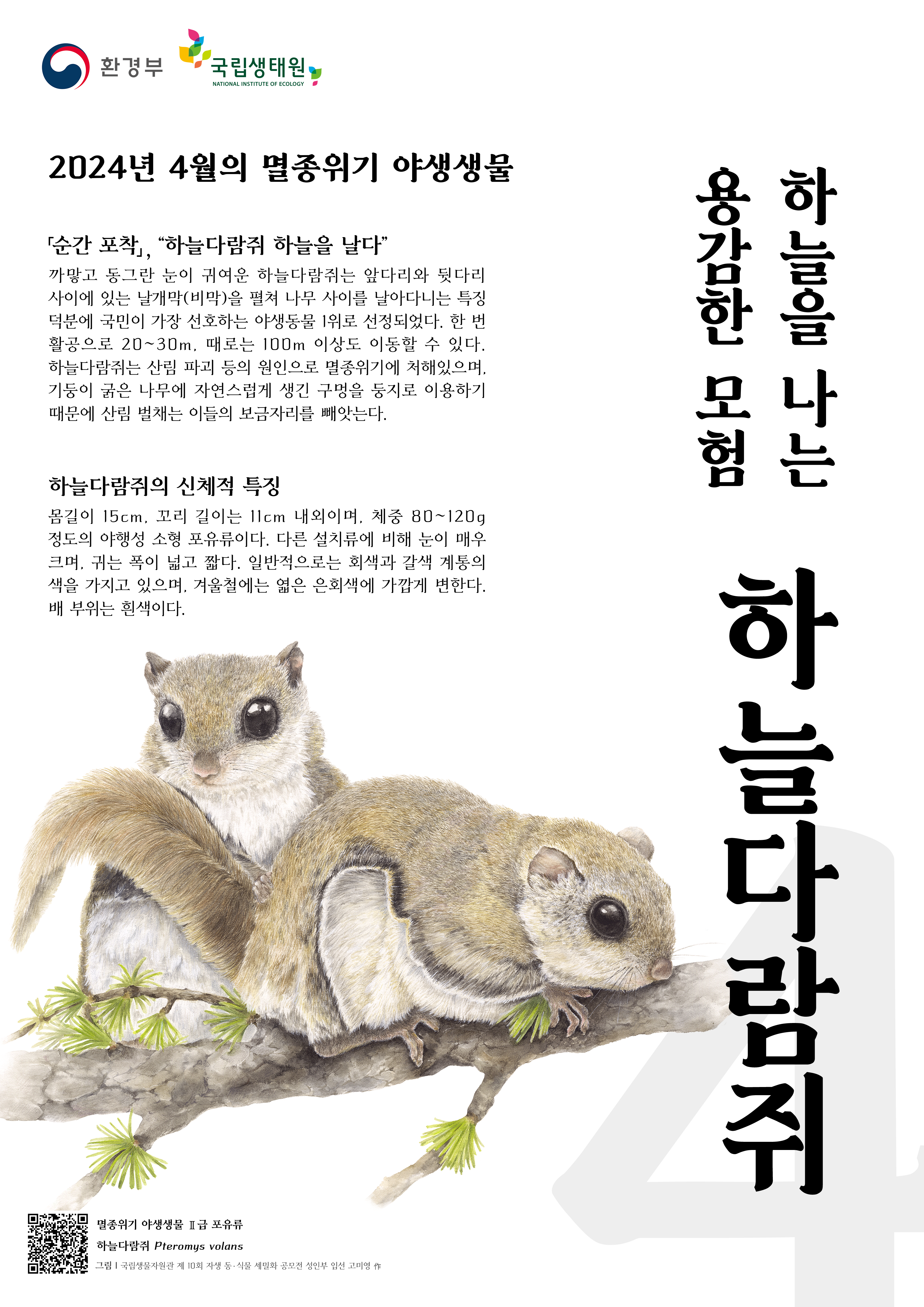 이달의멸종위기종_하늘다람쥐(4월).png