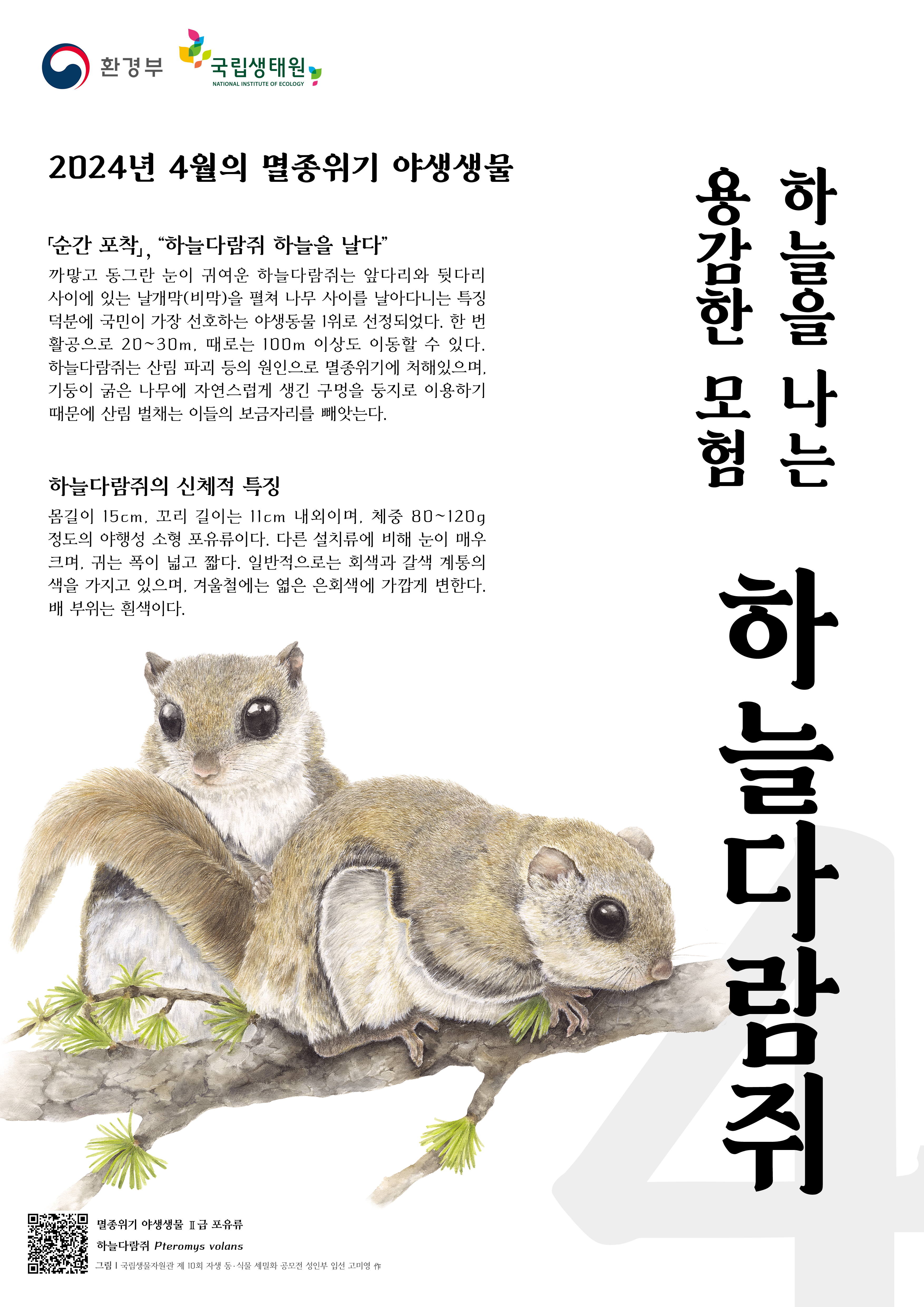 이달의멸종위기종_하늘다람쥐(4월)