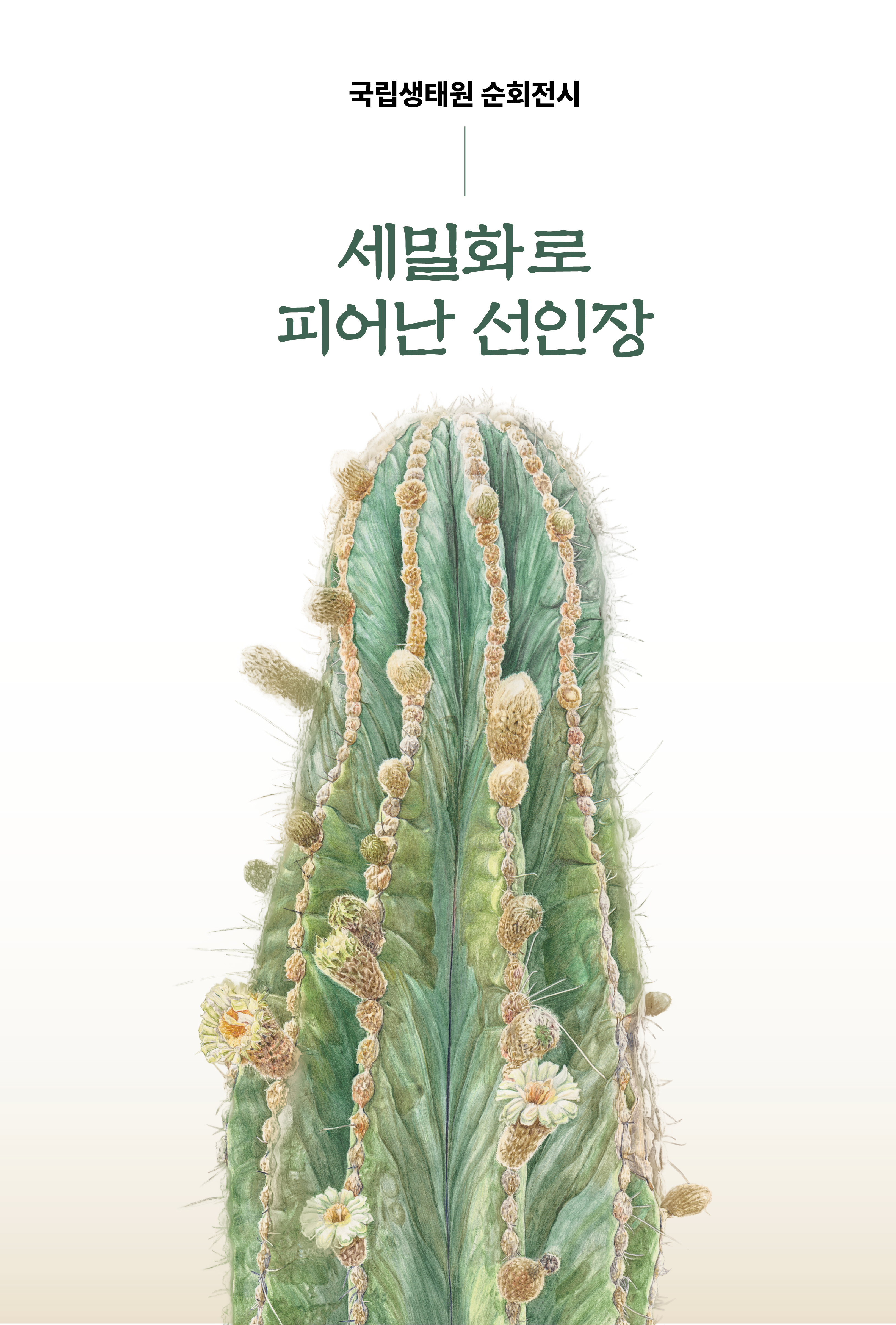 선인장 세밀화 순회전시 「세밀화로 피어난 선인장 」
