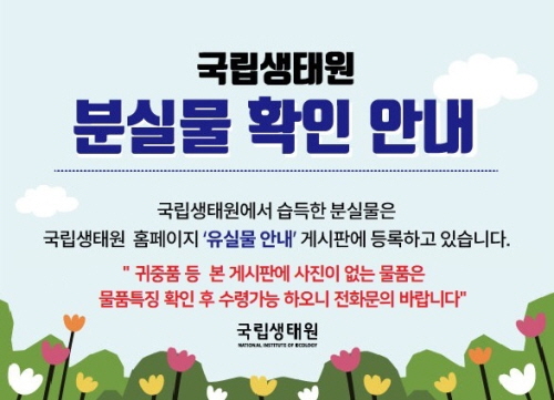 현금