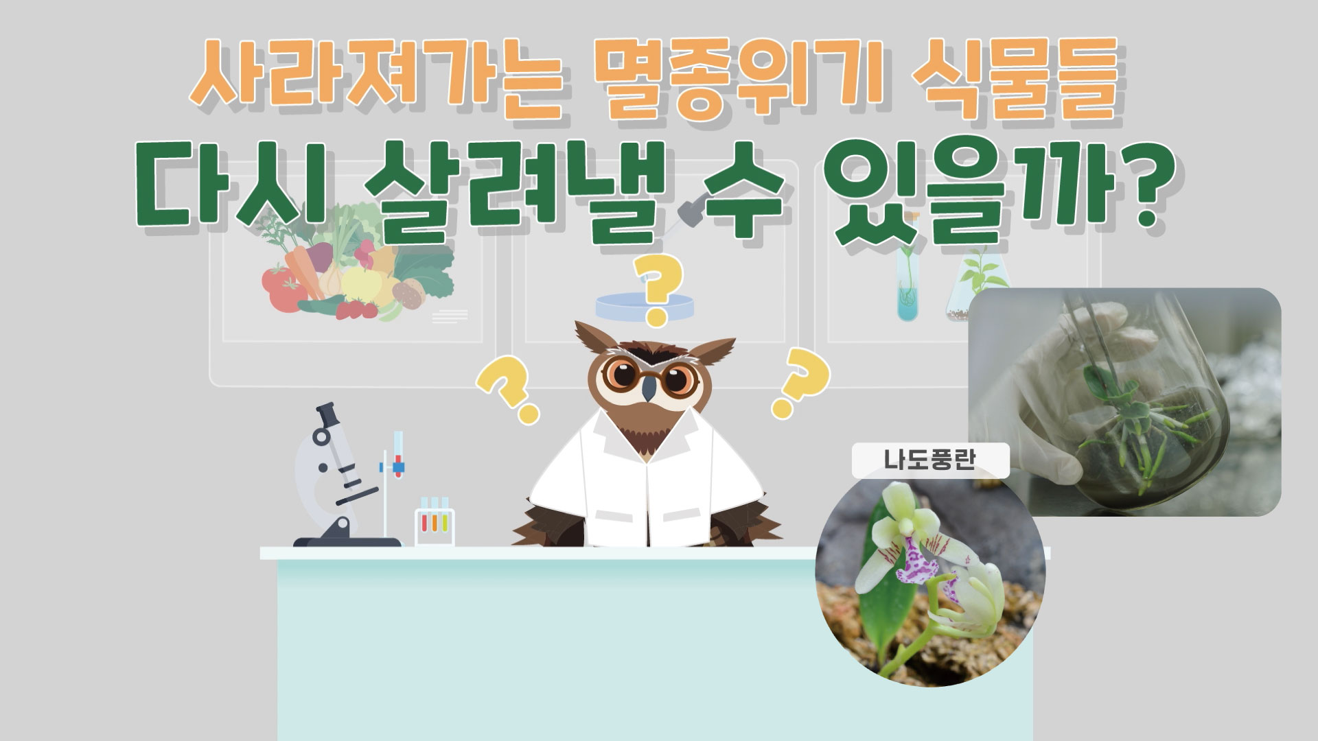 사라져가는 멸종위기 식물들 다시 살려낼 수 있을까?