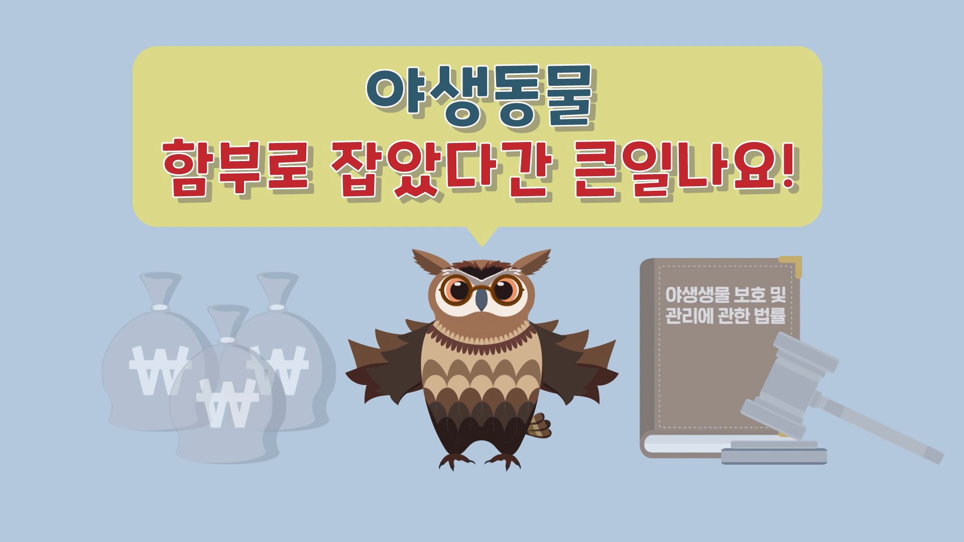 야생동물 함부로 잡았다간 큰일나요!