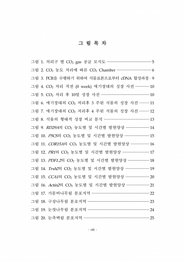 12페이지