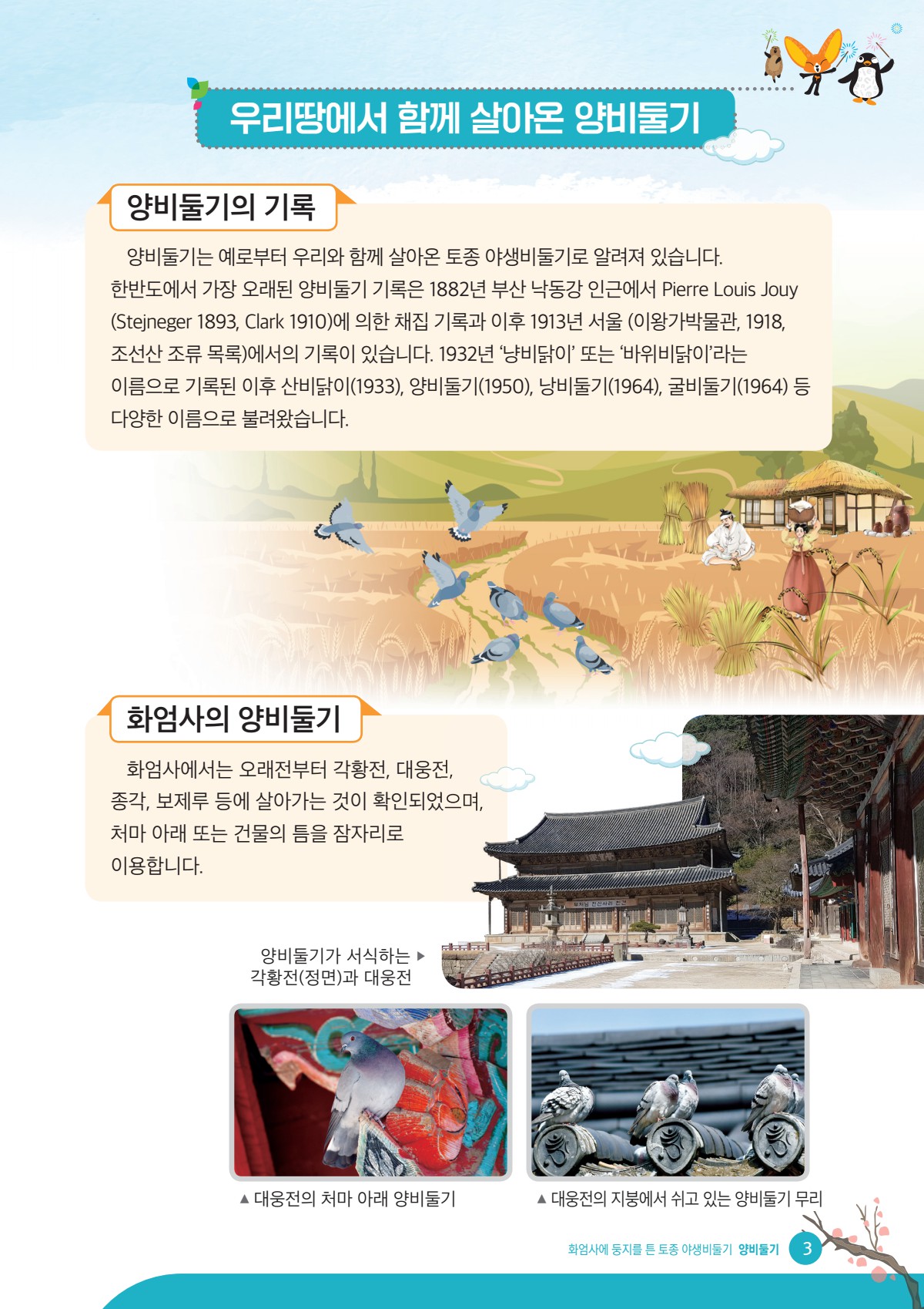 페이지