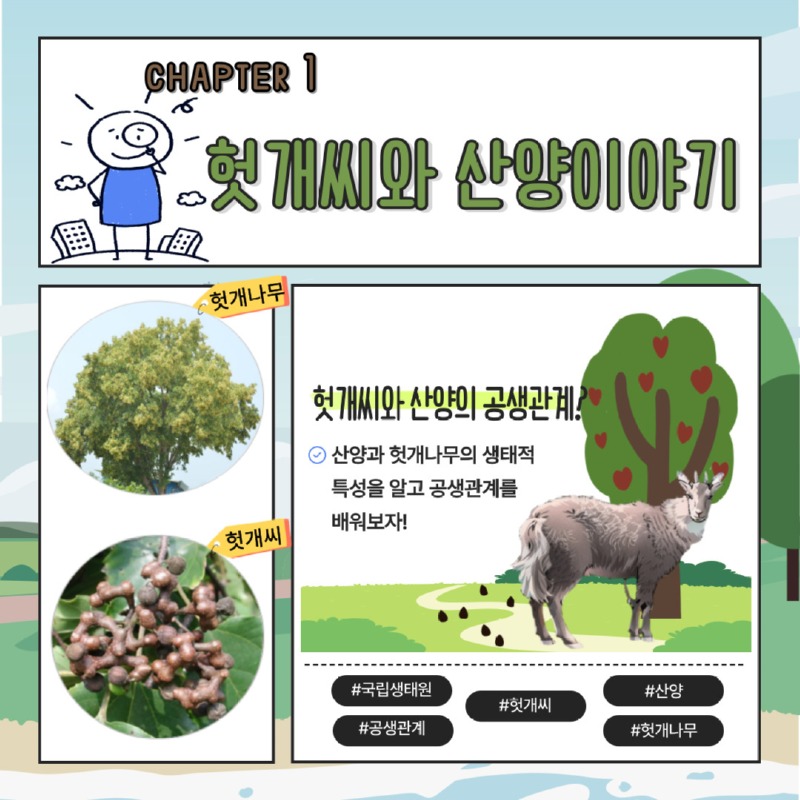CHAPTER 1 헛개씨와 산양이야기 | 헛개나무. 헛개씨 | 헛개씨와 산양의 공생관계? 산양과 헛개나무의 생태적 특성을 알고 공생관계를 배워보자! | #국립생태원 #헛개씨 #산양 #공생관계 #헛개나무
