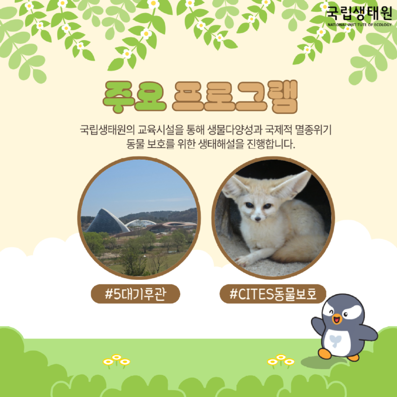 주요 프로그램 국립생태원의 교육시설을 통해 생물다양성과 국제적 멸종위기 동물 보호를 위한 생태해설을 진행합니다. #5대기후관 •#CITES동물보호 국립생태원