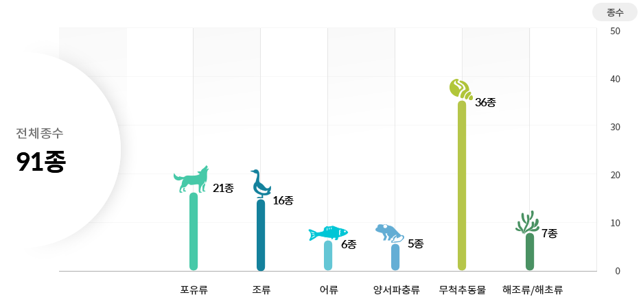 전체종수 83종 포유류 18종 조류 14종 어류 5종 양서파충류 5종 무척추동물 34종 해조류/해초류 7종