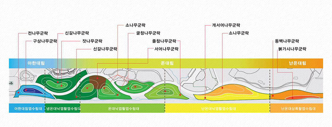 한반도숲 재현 구조