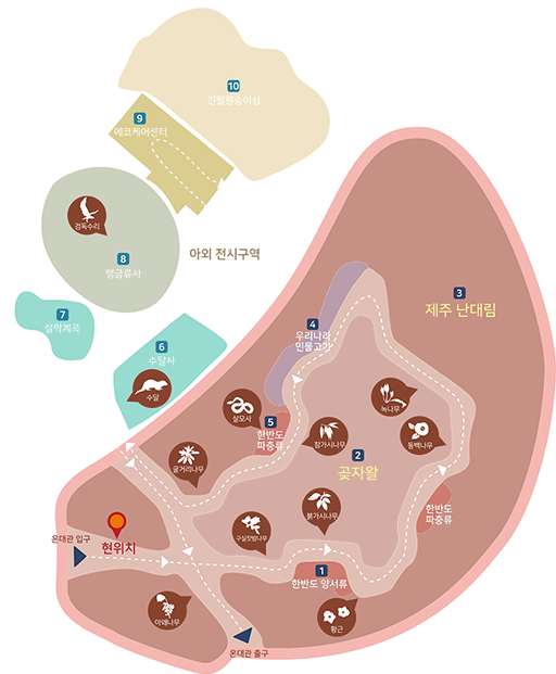 온대관입구, 현위치, 아왜나무,구실잣밤나무,1 한반도 양서류,붉가시나무,황근,한반도 파충류,동백나무,녹나무,2 곶자왈,3 제주 난대림,4 우리나라 민물고기,참가시나무,5 한반도 파충류,살모사,굴거리나무,수달,6 수달사,야외 전시구역,7 설악계곡,8 맹금류사,검독수리,9 에코케어센터,10긴팔원숭이섬, 온대관 출구