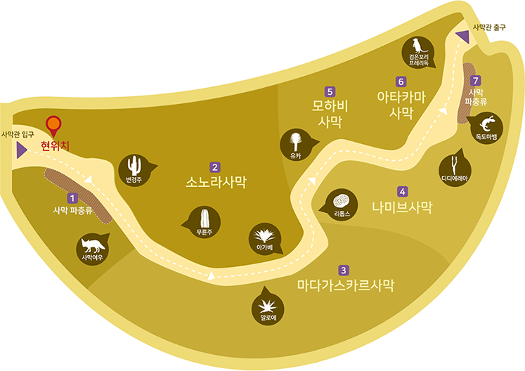 사막관 입구, 현위치, 1 사막파충류, 변경주, 사막여우, 2 소노라사막, 무륜주, 알로에, 아가베, 3 마다가스카르사막, 리톱스. 4 나미브사막, 유카, 5 모하비사막, 디디에레아, 6 아타카마 사막, 독도마뱀, 7 사막 파충류, 검은꼬리 프레리독, 사막관 출구