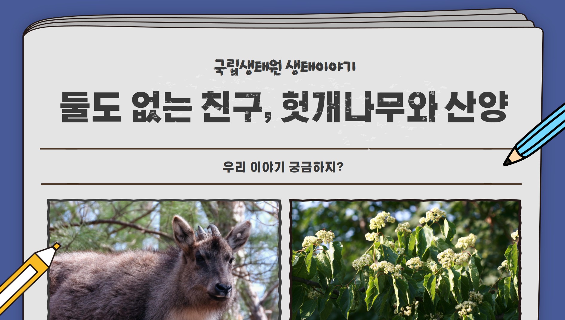 헛개나무와 산양 이미지